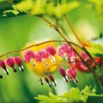 南宫导航与无人驾驶技术的结合展望 23bmbi