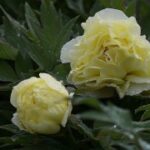 南宫娱乐:从小众到大众的转变之路 34qgr20t