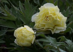 南宫娱乐:从小众到大众的转变之路 南宫娱乐:从小众到大众的转变之路