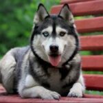 南宫壹号娱乐:如何打造独特的社交娱乐场所 c8sj6rq