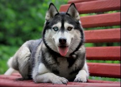 南宫壹号娱乐:如何打造独特的社交娱乐场所 南宫壹号娱乐:如何打造独特的社交娱乐场所