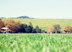 南宫娱乐的粉丝经济:如何培养忠实用户 南宫娱乐的粉丝经济:如何培养忠实用户