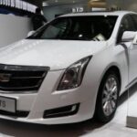 南宫壹号娱乐:聚集城市精英的时尚聚会地 txx41h72