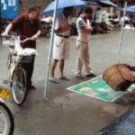 南宫官网:南宫的志愿者服务与公益项目介绍 yi1xuq96x