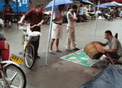 南宫官网:南宫的志愿者服务与公益项目介绍 南宫官网:南宫的志愿者服务与公益项目介绍