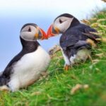 南宫导航如何提升老年人出行的便利性 z09la